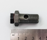 IMG_20250404_134536 IMG_20250404_134536