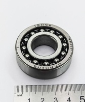 IMG_20250425_162204 IMG_20250425_162204