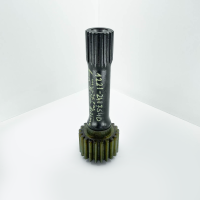 photo_2024-02-22_20-18-38