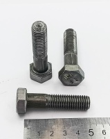 IMG_20250506_133427 IMG_20250506_133427