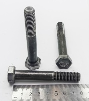 IMG_20250506_142415 IMG_20250506_142415