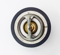 IMG_20250331_133816 IMG_20250331_133816