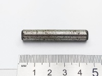 IMG_20250408_104619 IMG_20250408_104619