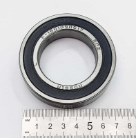 IMG_20250425_150539 IMG_20250425_150539