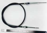 IMG_20250411_154747 IMG_20250411_154747