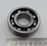 IMG_20250505_140836 IMG_20250505_140836