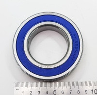 IMG_20250516_151706 IMG_20250516_151706