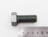 IMG_20250528_162556 IMG_20250528_162556