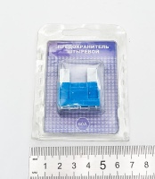 IMG_20250401_155637 IMG_20250401_155637