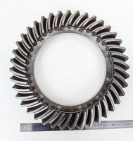 IMG_20240802_134959 IMG_20240802_134959