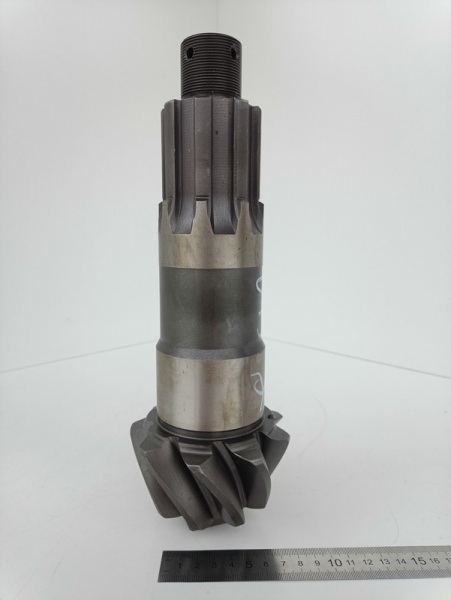 IMG_20240802_134905 IMG_20240802_134905