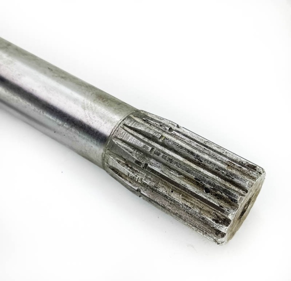 IMG_20250703_094508 IMG_20250703_094508