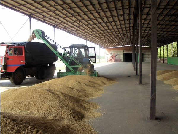 Фото Зернопогрузчик ПЗН-250