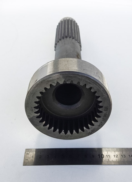 IMG_20240807_100359 IMG_20240807_100359