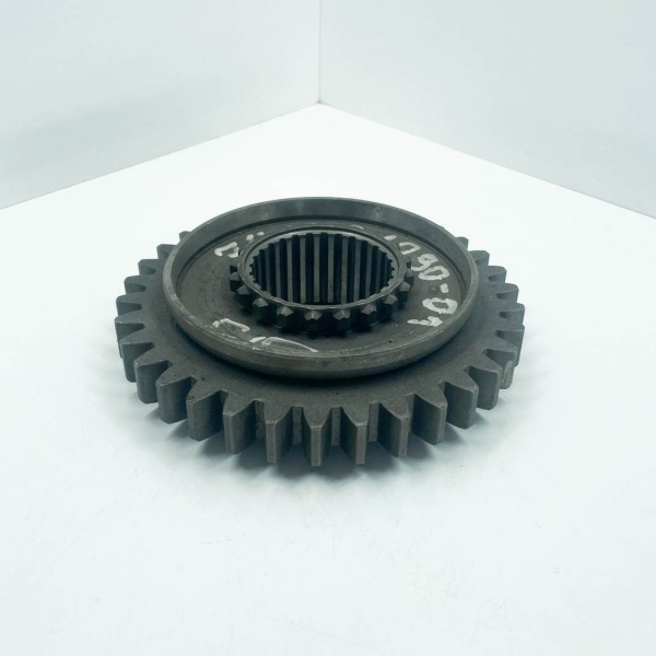 photo_2024-02-09_19-06-49