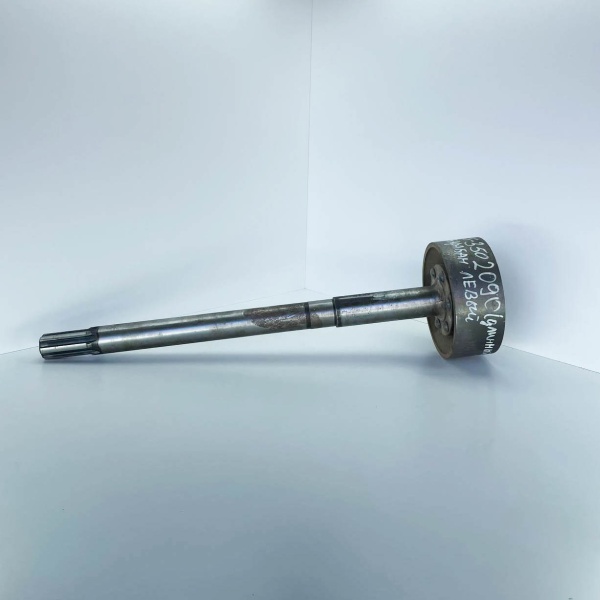 photo_2023-10-24_15-53-06