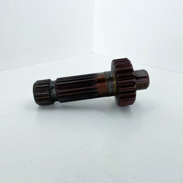 photo_2023-10-23_23-15-26 photo_2023-10-23_23-15-26