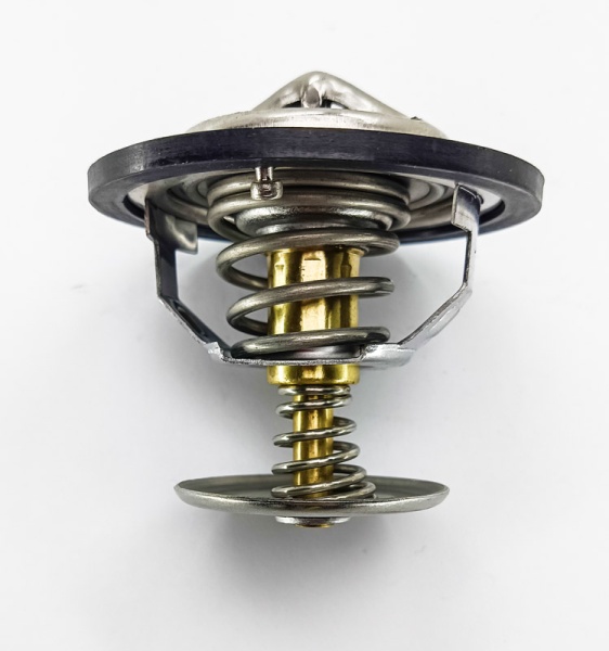 IMG_20250331_133823 IMG_20250331_133823