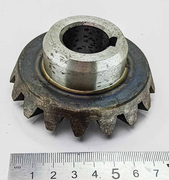 IMG_20250703_111319 IMG_20250703_111319