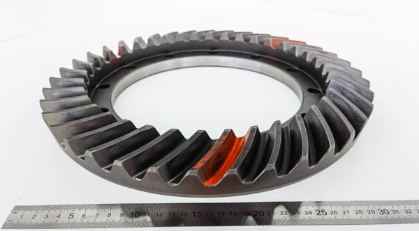 IMG_20240802_134528 IMG_20240802_134528