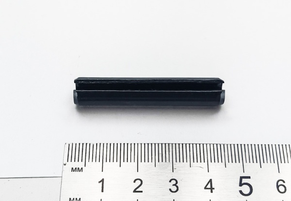 IMG_20250408_104536 IMG_20250408_104536