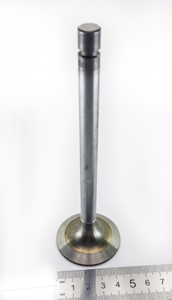 IMG_20250408_103445 IMG_20250408_103445