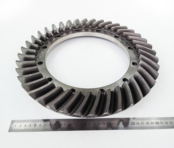 IMG_20240802_135005 IMG_20240802_135005