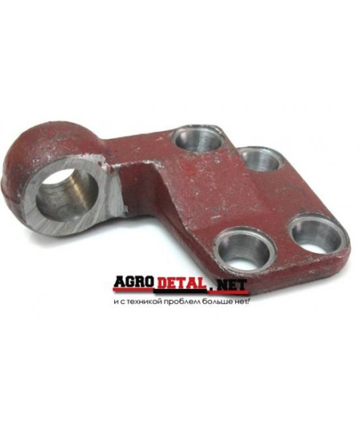 4669foto 1021-2308076-550x652