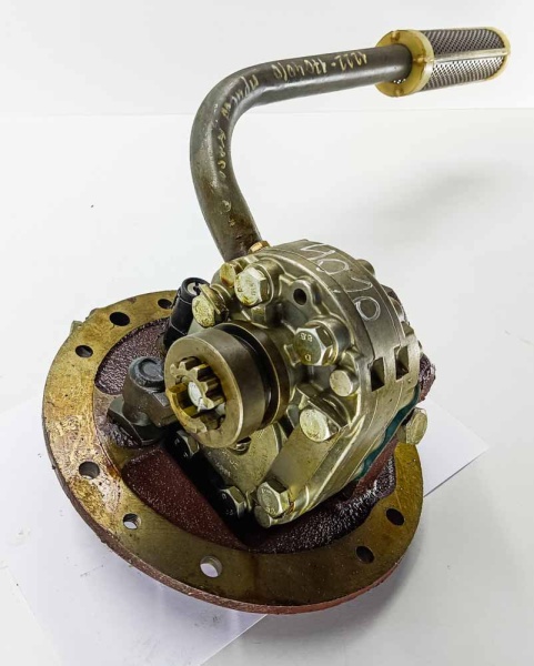 IMG_20240323_095805 IMG_20240323_095805