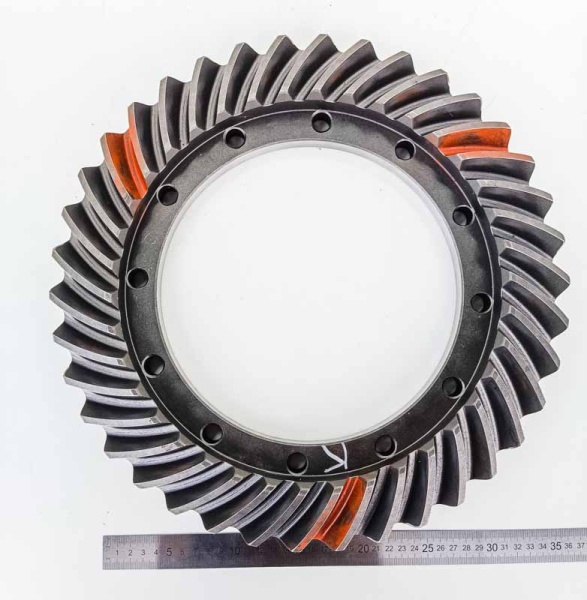 IMG_20240802_134516 IMG_20240802_134516